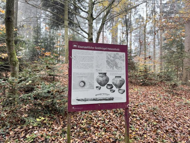 Der Eiszeitliche Grabhügel im Höngger Heizenholz