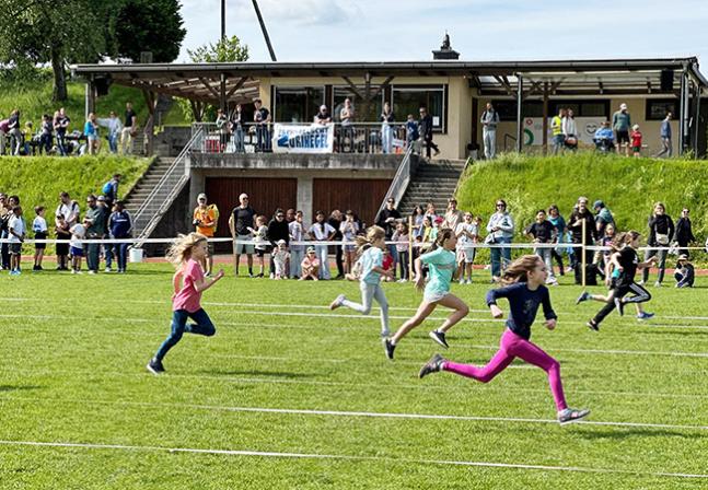 De schnällscht Höngger Zürihegel 2026: Sprinten, mitfiebern und Quartierstimmung erleben