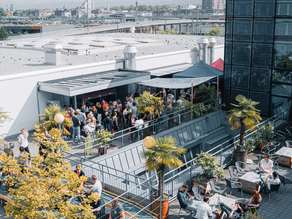 Die Wipkingerin Olivia Gamper organisiert am 12.12. einen Charity-Rave zugunsten des Eselparadies Gähwil. Musik, Glühwein und Support für ein Herzensprojekt.