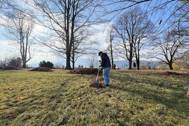24 Freiwillige haben bei eisigen Temperaturen den Findlingsgarten Kappenbühl auf dem Hönggerberg gereinigt.
